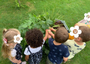Nurturing environment childcare outdoor vegetable picking