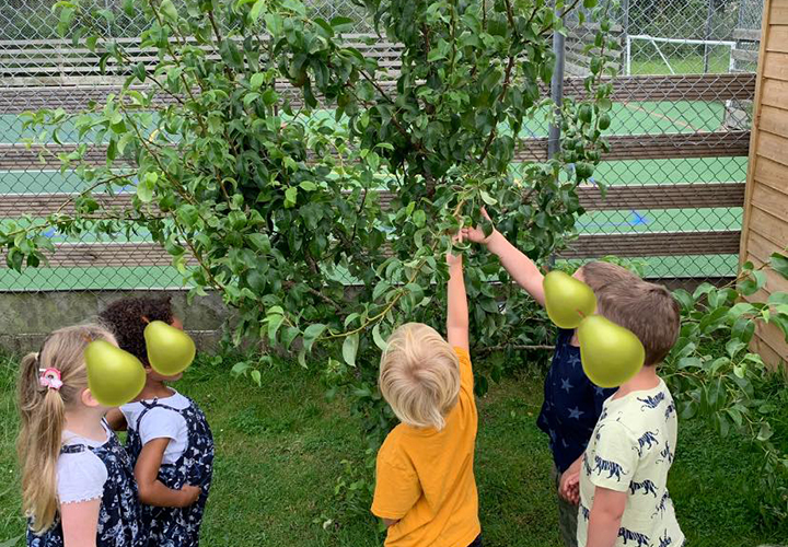 Treetops Nursery cooking club picking pears